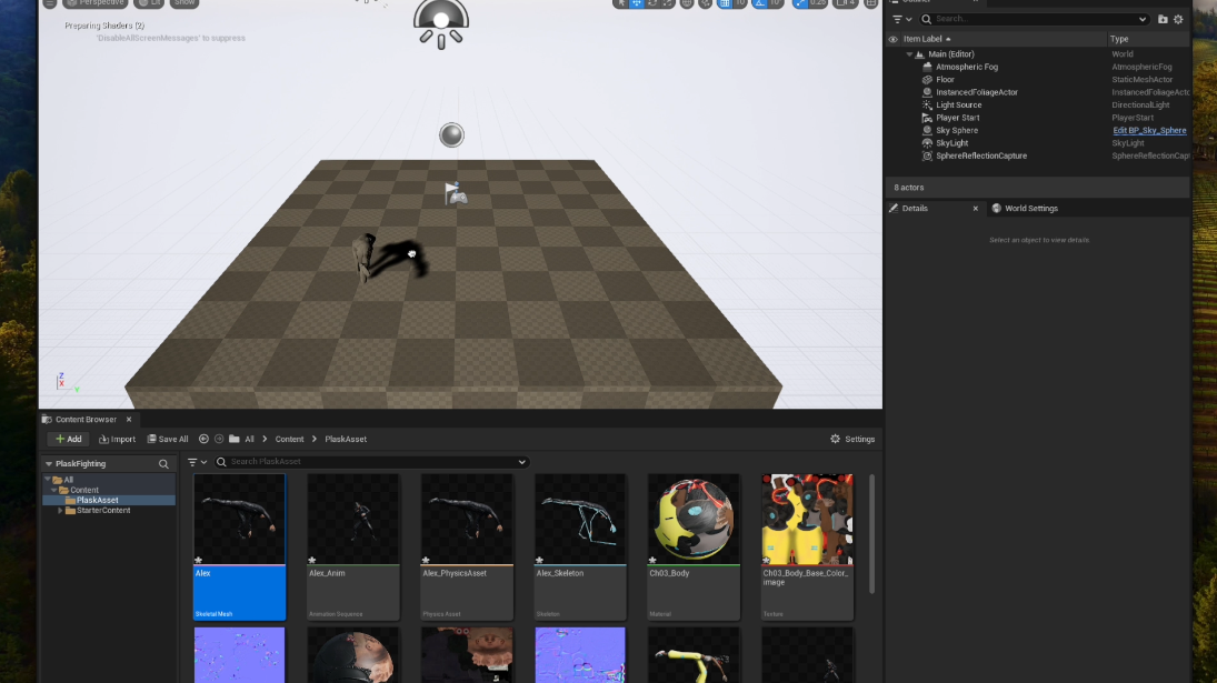 skeletalMesh.png